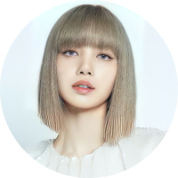 BLINK Lisa