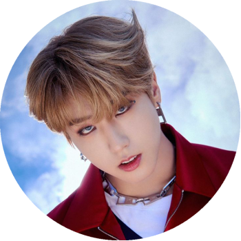 SKZ Han