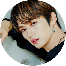 SKZ Lee Know